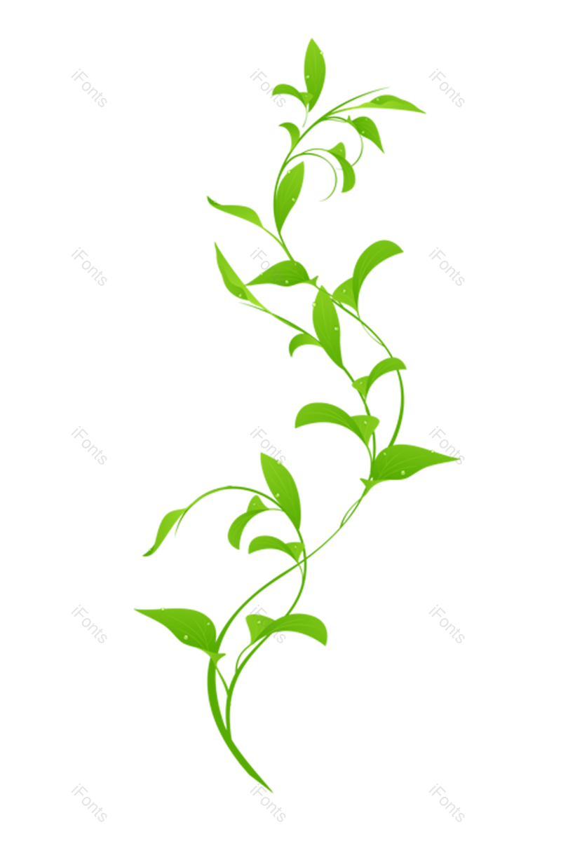 叶子图片,绿叶元素,树叶PNG,花草装饰免抠素材